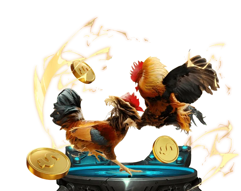 Khuyến Mãi Đặc Biệt Theo Sự Kiện 78king